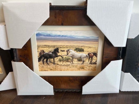 Mustang Dap by artist Claire Porter